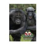 2027 POCKET DIARY